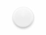 Colchicum autumnale